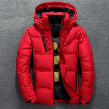 Veste Homme Puffer Noble Alpine